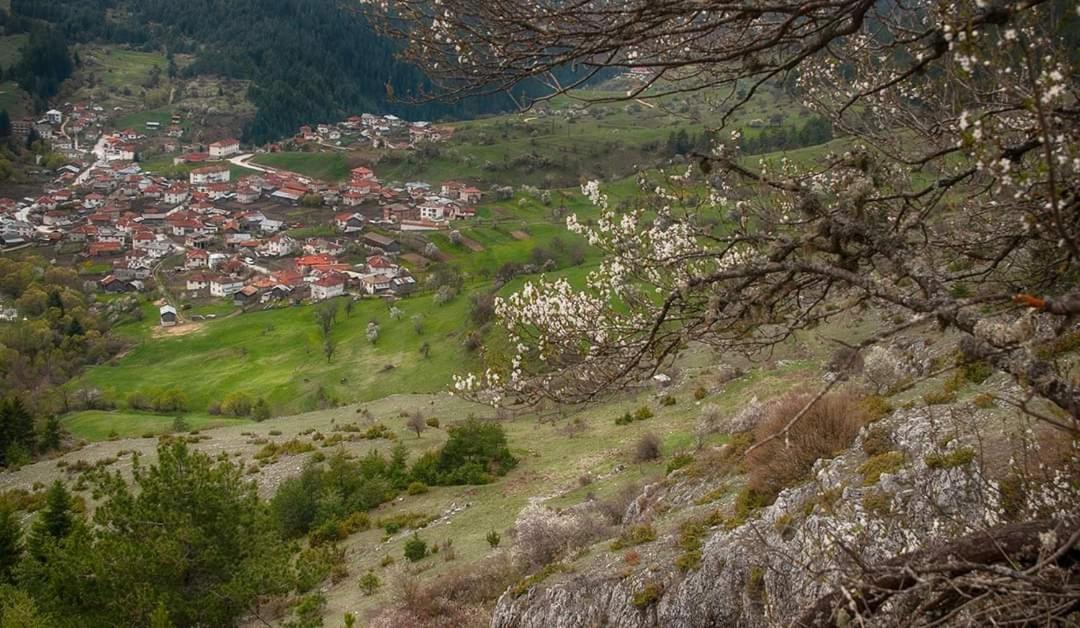 вила Здравец Яґодіна Екстер'єр фото